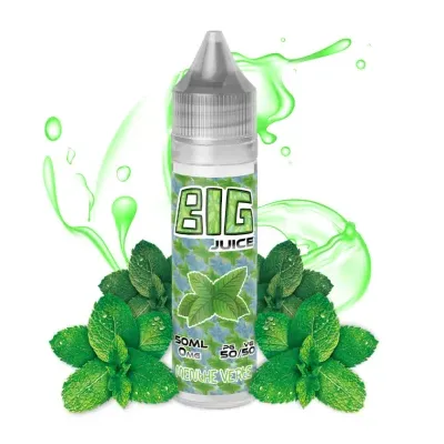 Menthe verte 50 ml (0mg) - Big juice