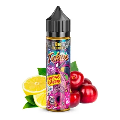 Tokyo 50ml (0mg) - Big Flamant by Liquidarom