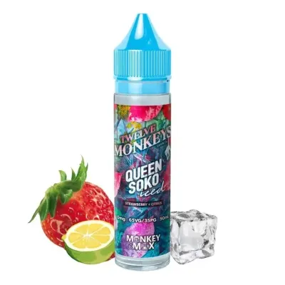 Queen Soko ICED 50ml (0mg) - 12 Monkeys Ice Age