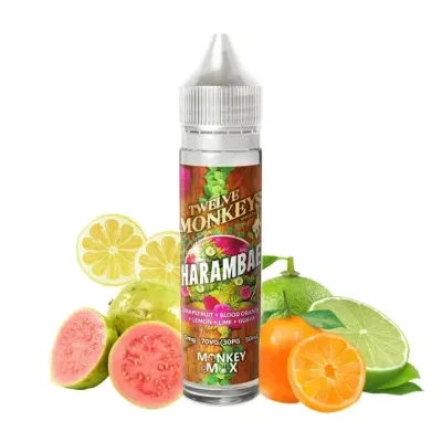 HARAMBAE 50ml (0mg) - 12 Monkeys