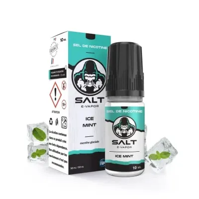 Salt E-Vapor: Ice Mint 10ml (15mg) - Le French Liquide