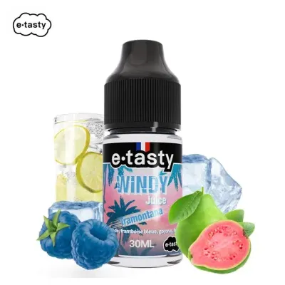 Concentré Tramontana 30ml (0mg) - Windy Juice by E.Tasty