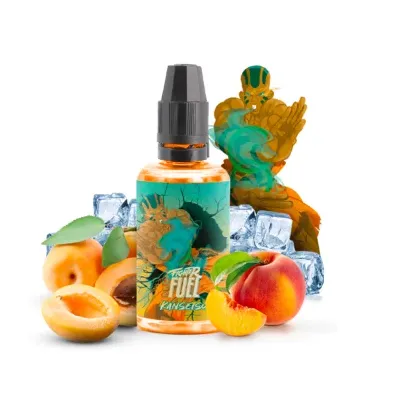 Concentré Kansetsu 30ml (0mg) - Fighter Fuel by Maison Fuel