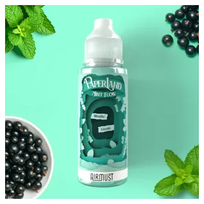 Mint Flow 100ml Paperland - Airmust