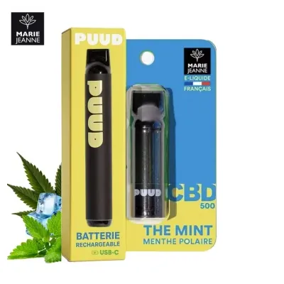 Kit Mint 600 puffs (500mg) - Puud by Marie Jeanne