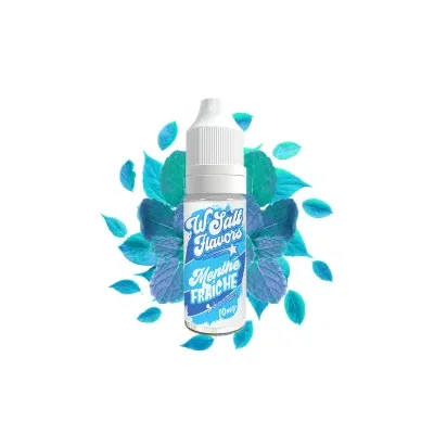 Menthe Fraîche 10ml Wsalt Flavors (Nicotine:20 mg/ml) - Liquideo
