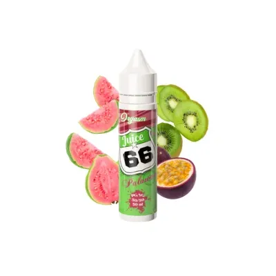 Palawan 50ml Orgasm - Juice 66