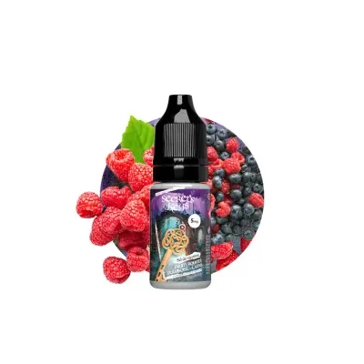 Purple Key Salt 10ml Secret's Keys (Nicotine:05 mg/ml) - Secrets Lab