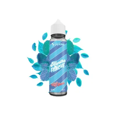 Menthe Fraiche 50ml Wpuff Flavors - Liquideo