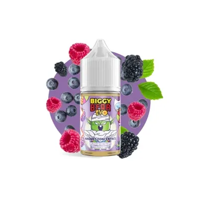 Concentré Fusion de Baies Sauvages 30ml - Biggy Bear EVO