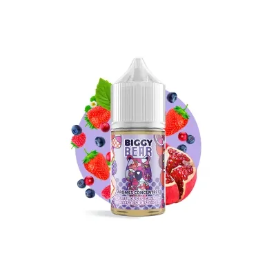 Concentré Fruits rouges Grenade Fraise des bois acidulée 30ml - Biggy Bear