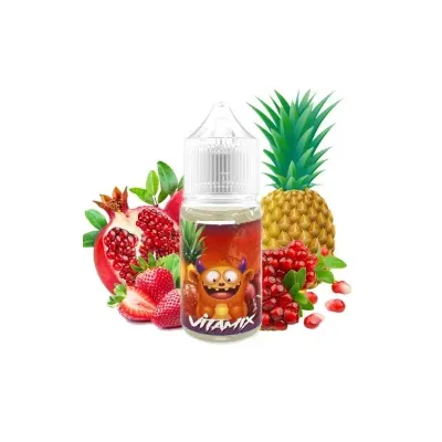 Concentré Vitamix 30ml - Belgi'Ohm