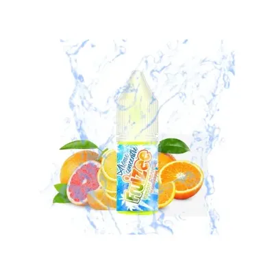 Concentré Citron Orange Mandarine 10ml Fruizee - Eliquid France