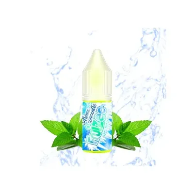 Concentré Icee Mint 10ml Fruizee - Eliquid France