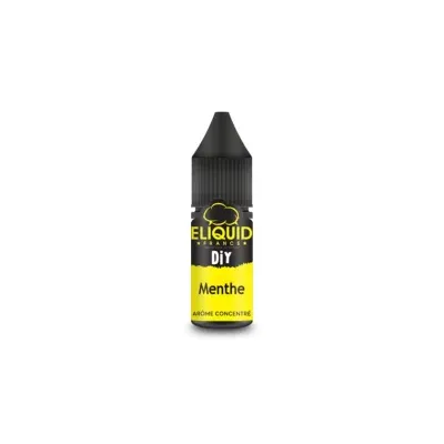 Concentré Menthe 10ml - Eliquid France