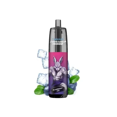 Puff Tornado 15K Blueberry Ice 650mAh 14ml (Nicotine:20 mg/ml) - Tornado x White Rabbit