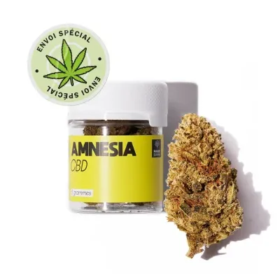 Fleur de CBD Amnesia (Poids (en grammes):2g) - Marie Jeanne