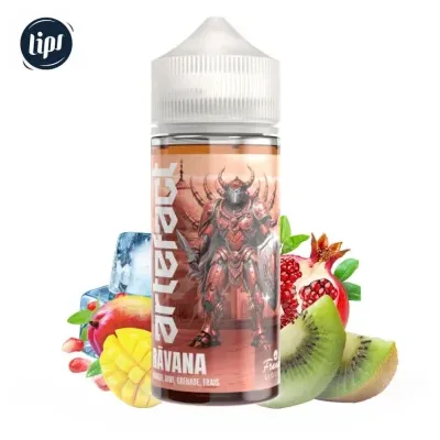 Ravana 100ml (0mg) - Artefact by Le French Liquide