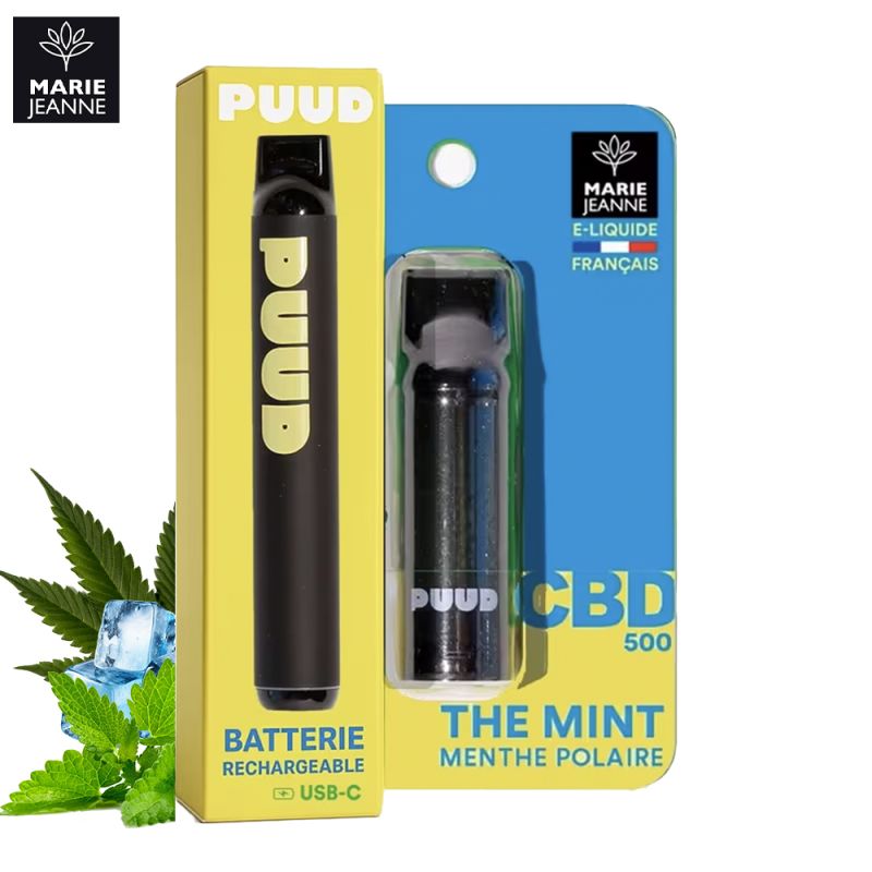 Kit Mint 600 puffs (500mg) - Puud by Marie Jeanne