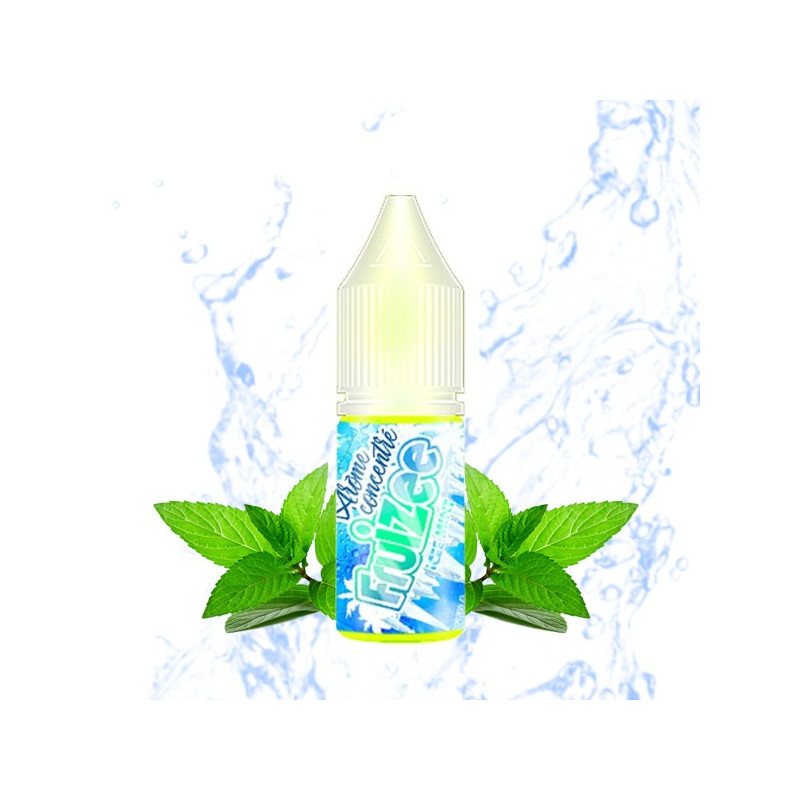 Concentré Icee Mint 10ml Fruizee - Eliquid France