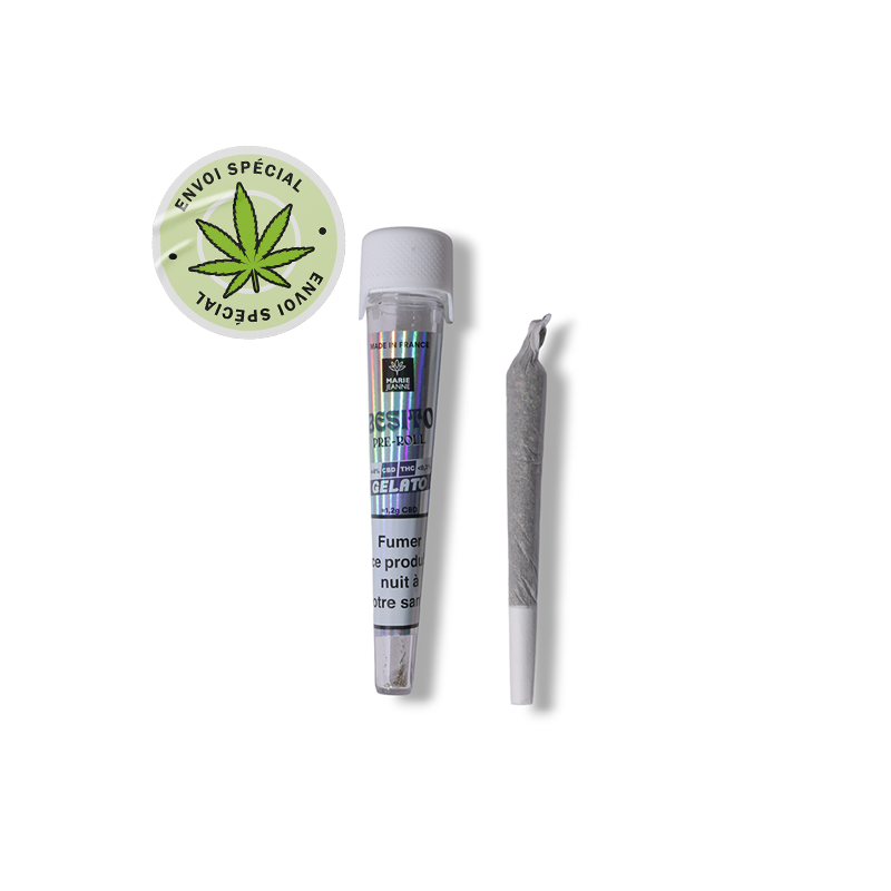 Pre Roll CBD Gelato Besito - Marie Jeanne (pack de 30)