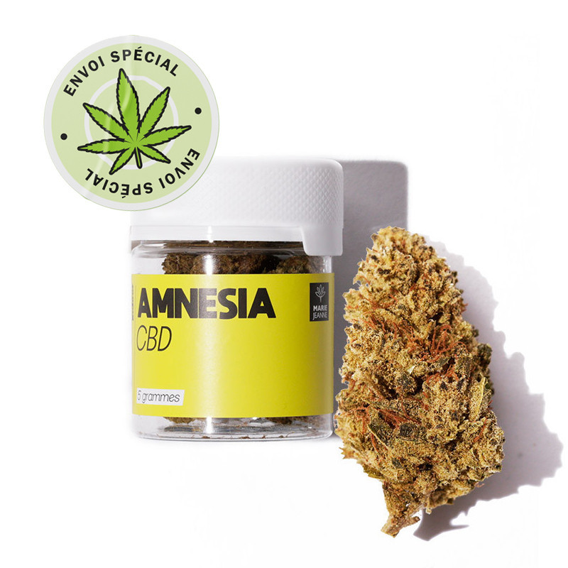 Fleur de CBD Amnesia (Poids (en grammes):10g) - Marie Jeanne